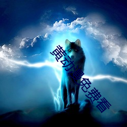 黄动漫免费看