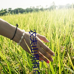 农夫山泉有(yǒu)点田