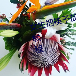 女生把(bǎ)筷子(zi)放屁(pì)里眼里不能掉(diào)视频(pín)教程