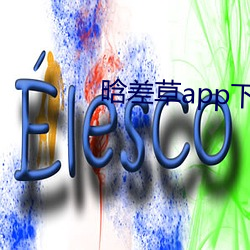 晗(晗)差(差)草app下载(載)