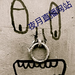 夜月直(直)播网(網)站