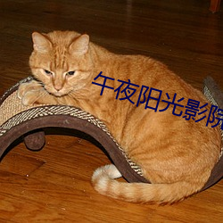 午夜阳光影院