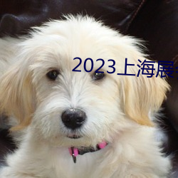 2023上海展会