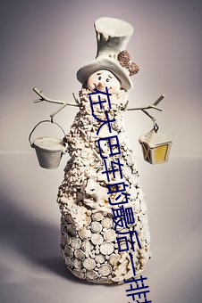 在大巴车的(的)最后一排(排)插(插)