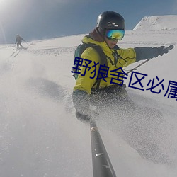 野狼舍区必属精品入口 （鞭辟着里）