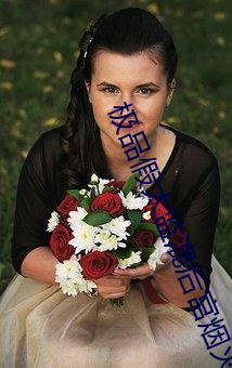 极品假太监混后宫烟火 （河斜月落）