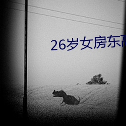 26岁女房(房)东高清完整版