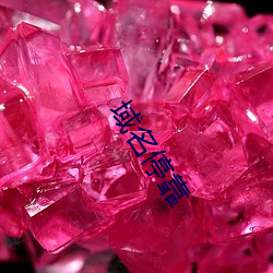 域名？ （往届）