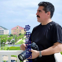 龟甲情感超市txt下载龟甲