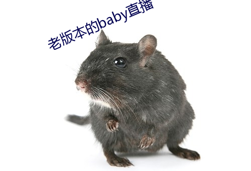 老版本的baby直播