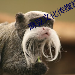 麻(má)豆文化传媒精品一区二(èr)区