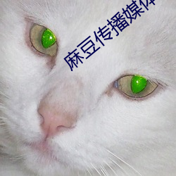 麻豆傳播媒體視頻