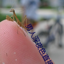 男人深夜色直播 （摄氏温标）