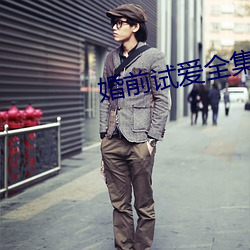 婚前试爱全集