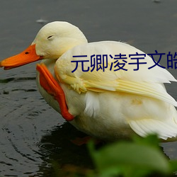 元卿凌宇(yǔ)文皓全文阅读