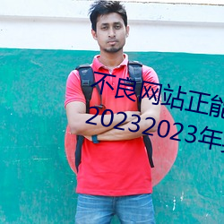 不良网站正能(néng)量软件窗口下载免费20232023年(nián)实时(shí)更新