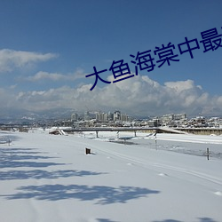 大魚海棠中最難忘的片段