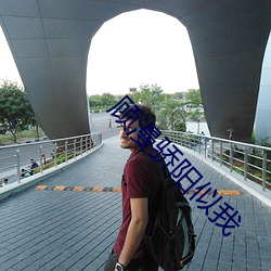 顾(顧)漫骄阳似(似)我