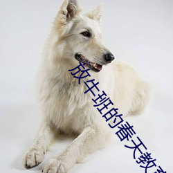 放牛班的春天教育啓示2000字