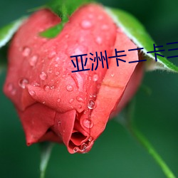 亚洲卡二卡三(三)无线(線)乱码新区