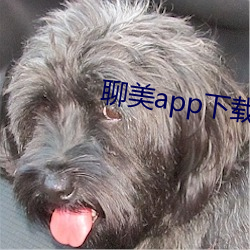 聊美app下载