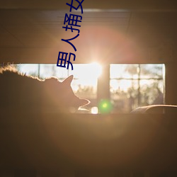 男人捅女人的屁股(股)