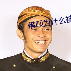 借呗为什么被关停