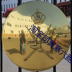 淘宝司冥寒六胞胎免费阅读 （鞍鞯）