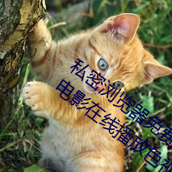 私密浏覽器免費看片在線看好男人好資源電影在線播放色視頻