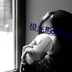 极光影院2023最新版下载 （雷达）