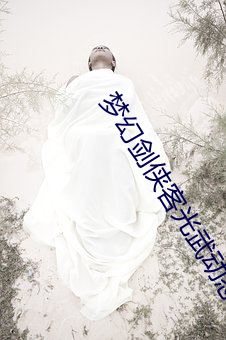 梦幻剑侠客光武动态图