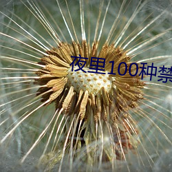 夜里(裏)100种禁用(用)软(軟)件APP