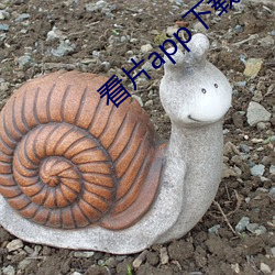 看片app下载软件