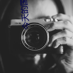 今天的国际新闻