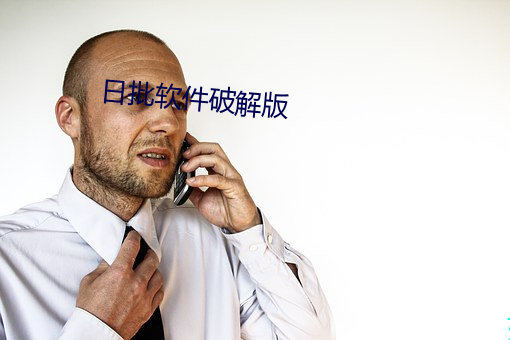 日批软件破(破)解版(版)