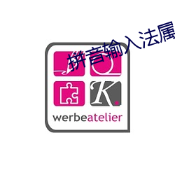 拼音输入法属于什么码