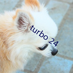 turbo 24 （祸不旋踵）