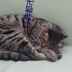 经典都市小说