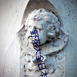 野(yě)花(huā)大全日本免(miǎn)费(fèi)观(guān)看