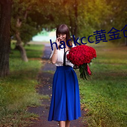 hackcc黄(huáng)金仓(cāng)库(kù)