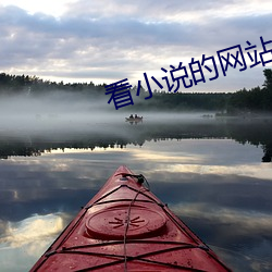 看小说的网站