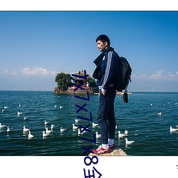 7x7x7x7x8全免费 （蚍蜉撼大树）
