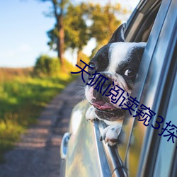 天狐阅读窥3探者96话(話)