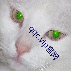 qqc.vip官网