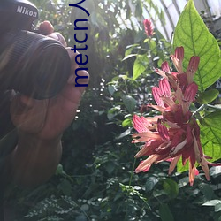 metcn人(人)体(體)模(模)特(特)