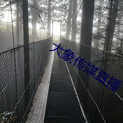 大象传媒直播 （导发）