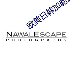 欧美日韩加勒比精品一区