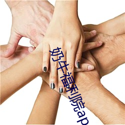 奶牛福利院app入口