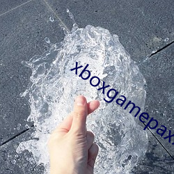 xboxgamepaxx （机心械肠）