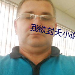 我欲封天小说